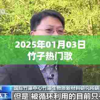 竹子热门歌曲榜（2025年1月3日）