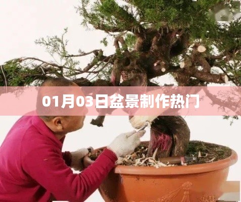 盆景制作热门技巧 1月3日必学新知