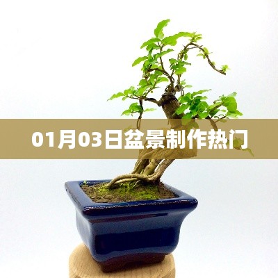 盆景制作热门技巧 1月3日必学新知