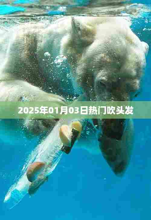 吹风机界的热门风潮,2025年最新吹头发技巧