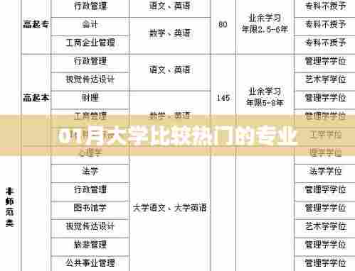 热门大学专业比较,一月最新排名解析