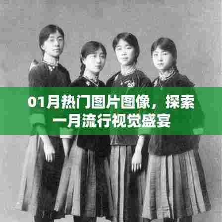 一月热门图片探索，流行视觉盛宴