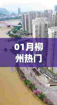 柳州热门行业概览（一月份动态）