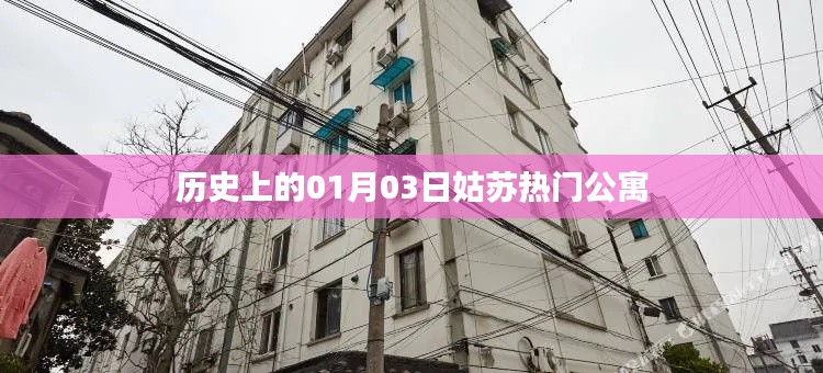 姑苏热门公寓历史日期揭秘,一月三日回顾
