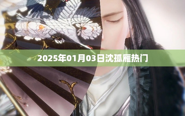 沈孤雁,2025年热门人物风采展