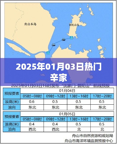 辛家热门资讯一网打尽，2025年1月3日动态