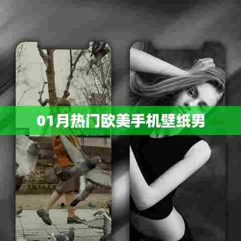 欧美手机壁纸男,一月精选流行款