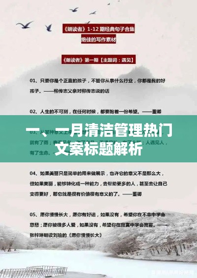 一月清洁管理热门文案解析与启示