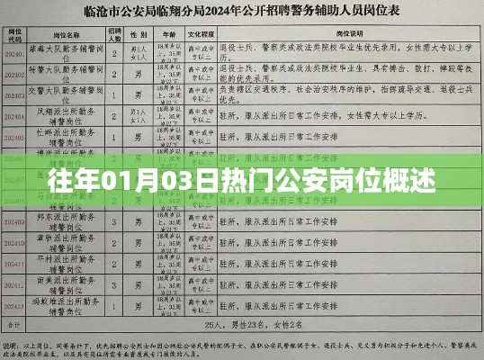 「历年公安岗位热点解析，1月3日岗位概览」
