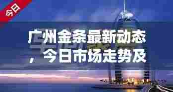 广州金条最新动态，今日市场走势及投资者关注焦点