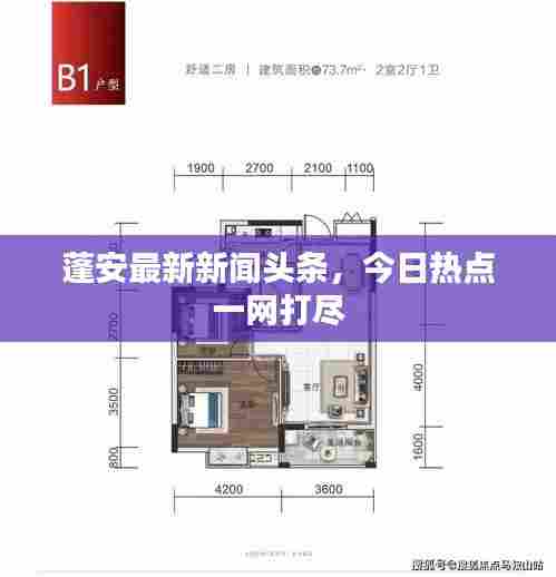 蓬安最新新闻头条,今日热点一网打尽