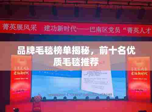 品牌毛毯榜单揭秘,前十名优质毛毯推荐