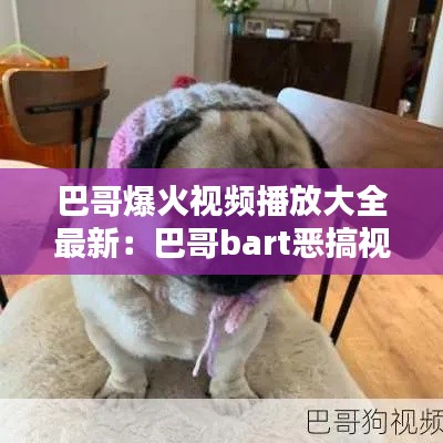 巴哥爆火视频播放大全最新:巴哥bart恶搞视频