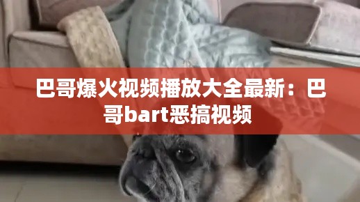 巴哥爆火视频播放大全最新:巴哥bart恶搞视频