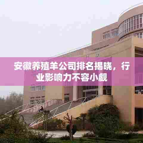 安徽养殖羊公司排名揭晓,行业影响力不容小觑