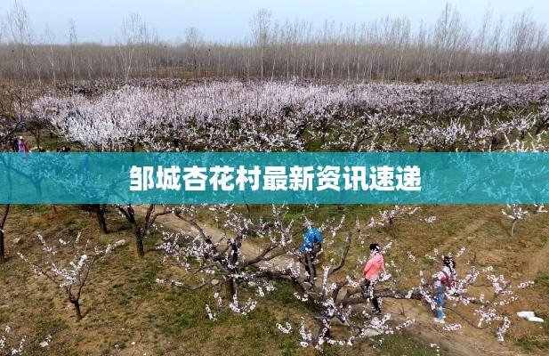 邹城杏花村最新资讯速递