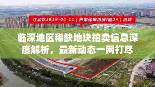 临深地区稀缺地块拍卖信息深度解析,最新动态一网打尽