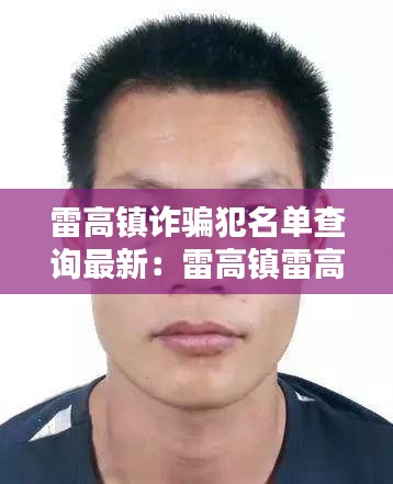 雷高镇诈骗犯名单查询最新：雷高镇雷高村人口 
