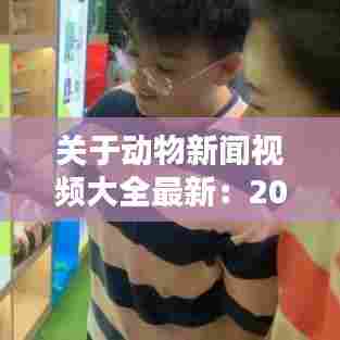关于动物新闻视频大全最新:2020有关动物的新闻报道
