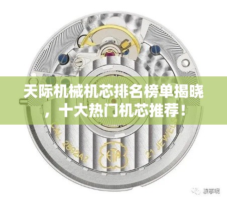 天际机械机芯排名榜单揭晓,十大热门机芯推荐!