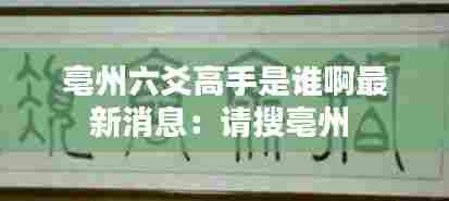 亳州六爻高手是谁啊最新消息：请搜亳州 