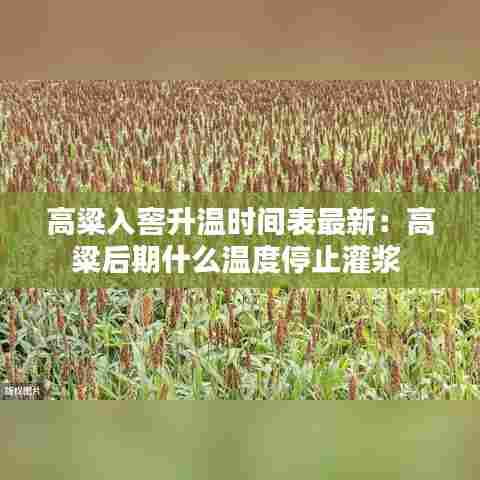 高粱入窖升温时间表最新：高粱后期什么温度停止灌浆 
