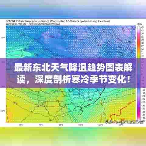 最新东北天气降温趋势图表解读，深度剖析寒冷季节变化！