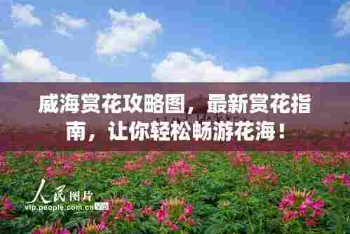威海赏花攻略图,最新赏花指南,让你轻松畅游花海!