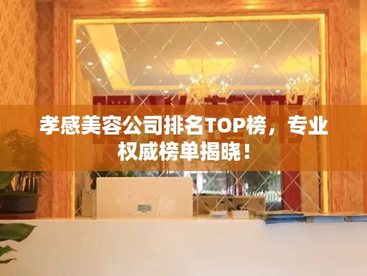 孝感美容公司排名TOP榜，专业权威榜单揭晓！