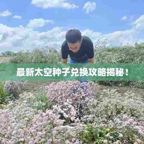 如鸟兽散 第2页