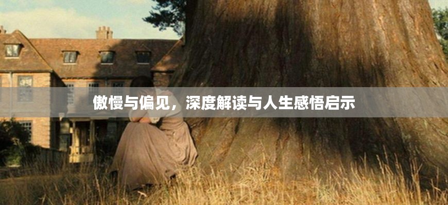 傲慢与偏见，深度解读与人生感悟启示
