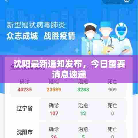 沈阳最新通知发布,今日重要消息速递