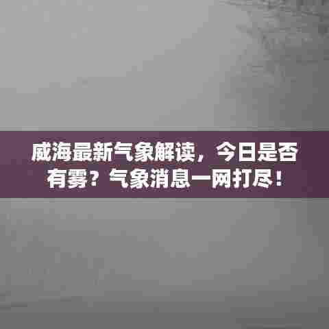 威海最新气象解读,今日是否有雾?气象消息一网打尽!