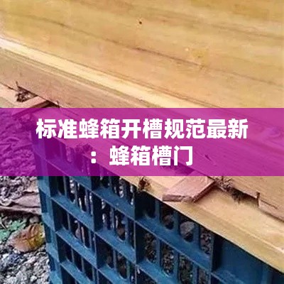 标准蜂箱开槽规范最新:蜂箱槽门