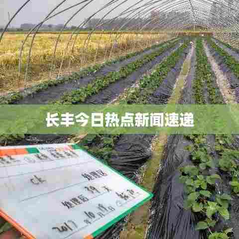 长丰今日热点新闻速递