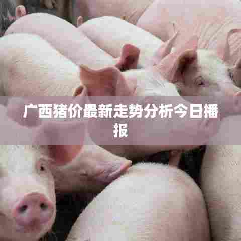 广西猪价最新走势分析今日播报
