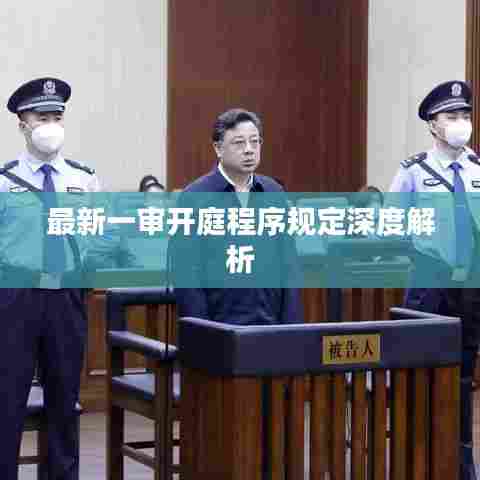 最新一审开庭程序规定深度解析