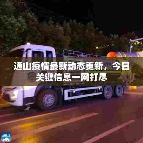 通山疫情最新动态更新,今日关键信息一网打尽