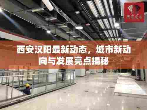 虫言鸟迹 第2页