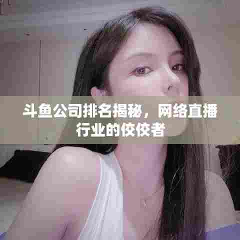 斗鱼公司排名揭秘,网络直播行业的佼佼者
