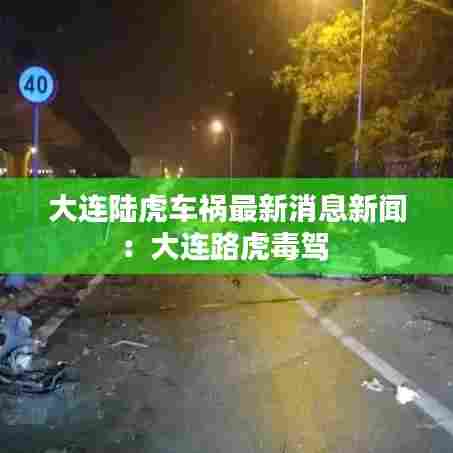大连陆虎车祸最新消息新闻:大连路虎毒驾