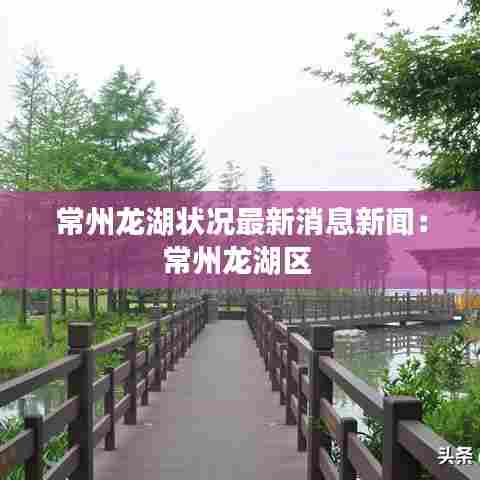 常州龙湖状况最新消息新闻:常州龙湖区