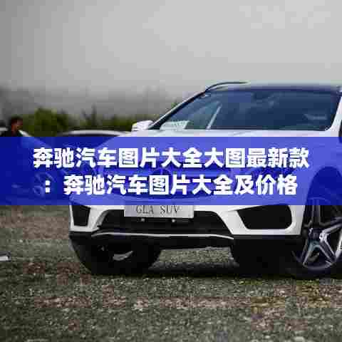 奔驰汽车图片大全大图最新款:奔驰汽车图片大全及价格