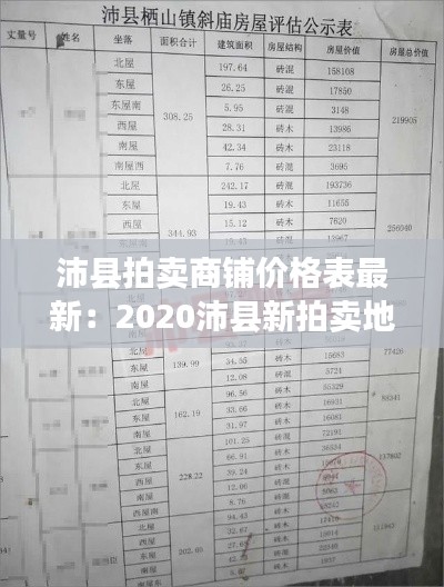 沛县拍卖商铺价格表最新:2020沛县新拍卖地块