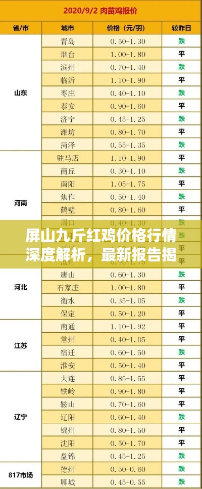 屏山九斤红鸡价格行情深度解析,最新报告揭示最新动态