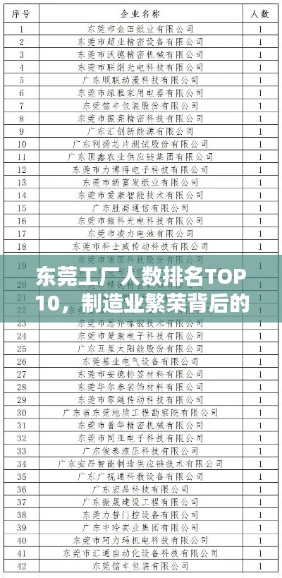东莞工厂人数排名TOP10,制造业繁荣背后的力量揭秘