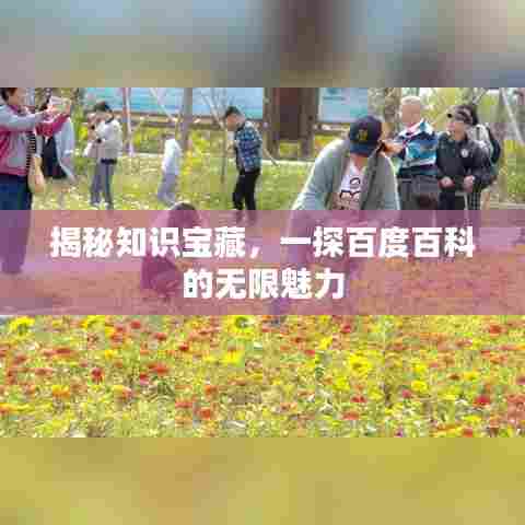 揭秘知识宝藏，一探百度百科的无限魅力