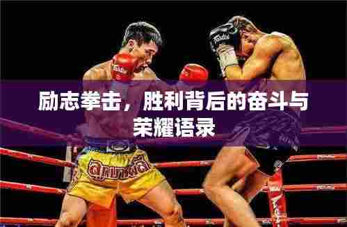 励志拳击,胜利背后的奋斗与荣耀语录