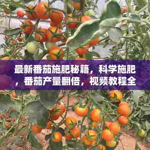 不求甚解 第2页