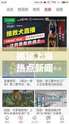 揭秘上海热点新闻头条,不容错过的最新资讯!